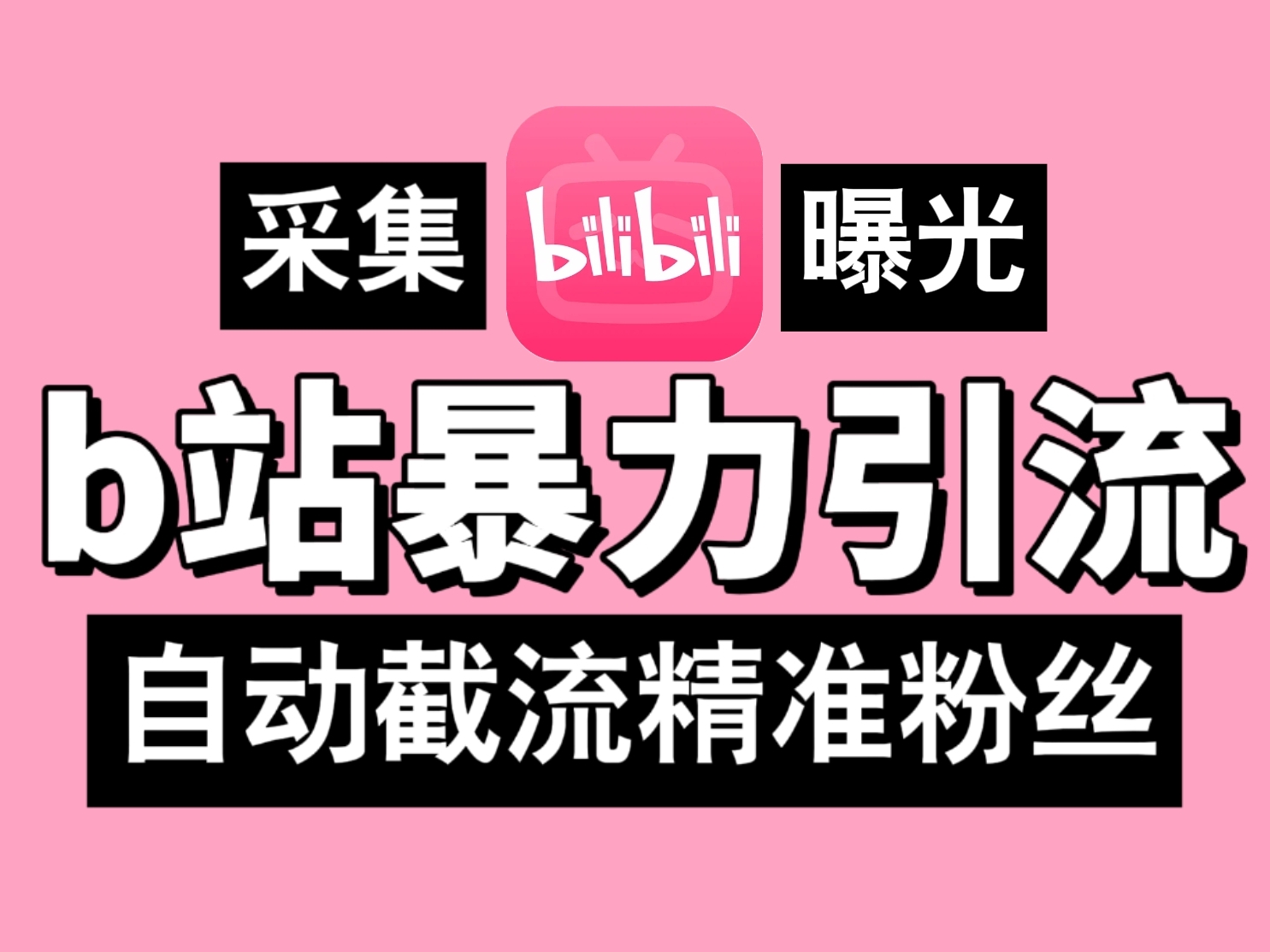 B站暴力引流机，日引300+精准粉，全行业通用！-梦帆创业网