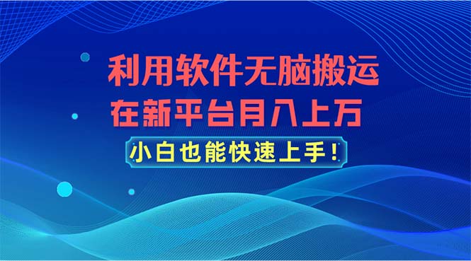 利用软件无脑搬运，在新平台月入上万，小白也能快速上手-梦帆创业网