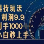 （13313期）黑科技玩法，一单利润9.9,一天到手1000+，新手小白秒上手-梦帆创业网