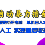 （13186期）全自动暴力撸金，只需要打开电脑，单机日入300+无需人工，实现睡后收益-梦帆创业网