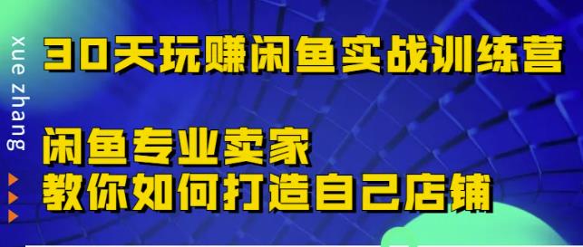 30天玩赚闲鱼实战训练营，闲鱼专业卖家教你如何打造自己店铺￼-梦帆创业网