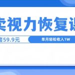 靠卖视力恢复教程一单59.9，单月变现1W，小白可复制-梦帆创业网
