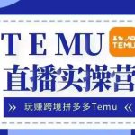Temu直播实战营，玩赚跨境拼多多Temu，国内电商卷就出海赚美金-梦帆创业网