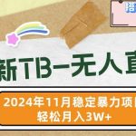 【最新TB-无人直播】11月最新，打造你的日不落直播间，轻松月入过W【揭秘】-梦帆创业网
