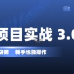 虚拟项目实战3.0，打造自动盈利店铺，可长期操作投入低，新手也能操作-梦帆创业网