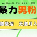 年末暴力男粉项目，5分钟无脑搬运，无脑月入五位数，举一反三，放大收益-梦帆创业网