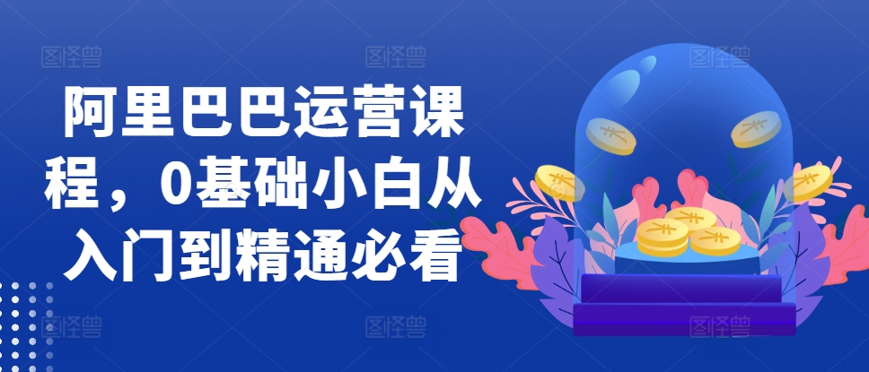 阿里巴巴运营课程，0基础小白从入门到精通必看-梦帆创业网