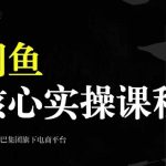 2024闲鱼核心实操课程，从养号、选品、发布、销售，教你做一个出单的闲鱼号-梦帆创业网