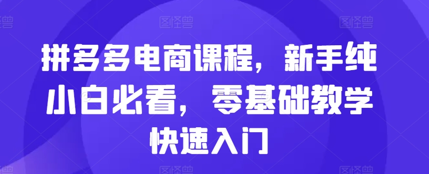 拼多多电商课程，新手纯小白必看，零基础教学快速入门-梦帆创业网