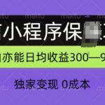 微信小程序保Z项目，独家变现，日均收益几张-梦帆创业网