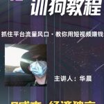 (训狗教程)训狗教学项目，详细教程讲解，月入1w+-梦帆创业网