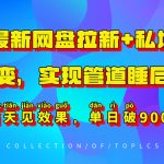 11月最新网盘拉新+私域全自动裂变，实现管道睡后收益，当天见效果，单日破900+-梦帆创业网