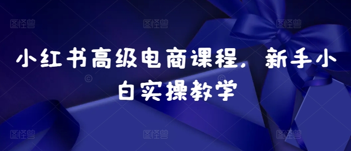 小红书高级电商课程，新手小白实操教学-梦帆创业网