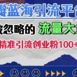 豆瓣蓝海引流平台，一个被忽略的流量大鱼塘，单日精准引流创业粉100+-梦帆创业网