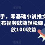 快速上手，零基础小说推文最新攻略，发布视频就能轻松赚，1W播放100收益-梦帆创业网