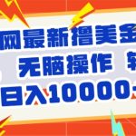 全网最新撸美金玩法，轻松无脑，暴力日入几张-梦帆创业网
