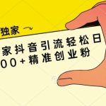 全网独家抖音引流轻松日引300+精准创业粉-梦帆创业网