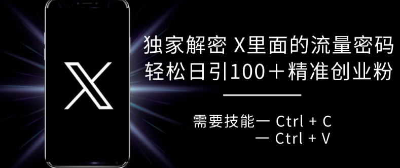 独家解密 X 里面的流量密码，复制粘贴轻松日引100+-梦帆创业网