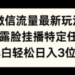 微信流量最新玩法，不露脸直播小游戏，小白轻松日入3位数-梦帆创业网