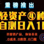 闲鱼轻资产风口四大蓝海项目实操手册，0投资0成本，月入过万，新手可做无需囤货-梦帆创业网