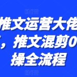 小说推文运营大佬干货分享，推文混剪0-1实操全流程-梦帆创业网