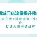 （13280期）同城门店流量提升秘籍：认知升级+抖音运营+视频制作，打造火爆同城品牌-梦帆创业网