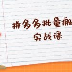 （13265期）拼多多批量搬砖实战课，全自动剪辑发布，黑科技新技术与爆款选品策略-梦帆创业网