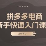 (13289期)拼多多电商新手快速入门课程:涵盖基础、实战与选款,助力小白轻松上手-梦帆创业网
