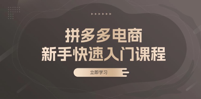 （13289期）拼多多电商新手快速入门课程：涵盖基础、实战与选款，助力小白轻松上手-梦帆创业网
