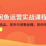 (13290期)2024闲鱼运营实战课程:揭秘养号、选品、发布与销售秘籍,助你快速出单-梦帆创业网