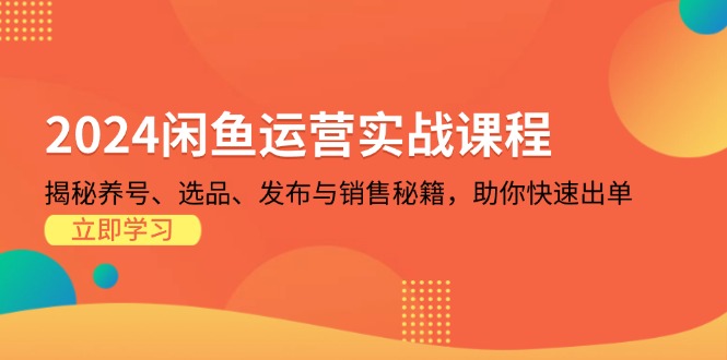 （13290期）2024闲鱼运营实战课程：揭秘养号、选品、发布与销售秘籍，助你快速出单-梦帆创业网