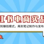 （13298期）小红书电商实战课，从基础认知到赚钱模式，再到笔记制作与发布 一站式学习-梦帆创业网