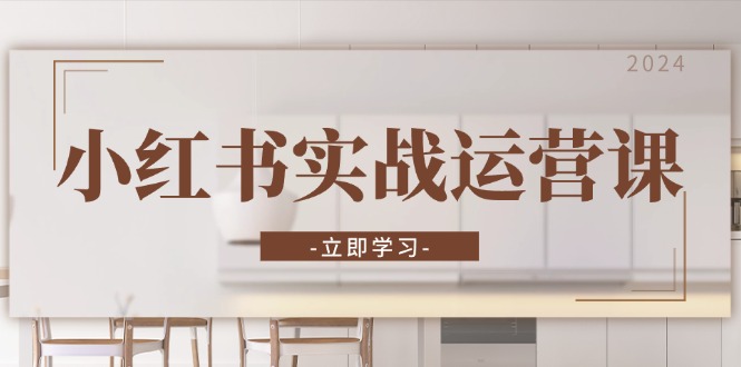 （13238期）小红书实战运营课：从开通店铺到直播话术，打造爆款笔记与高效直播-梦帆创业网