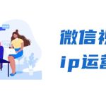 （13228期）微信视频号ip运营班：特邀分享+CEO直播+精英分享，揭秘视频号变现秘诀-梦帆创业网