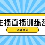 （13241期）主播直播特训营：抖音直播间运营知识+开播准备+流量考核，轻松上手-梦帆创业网