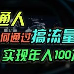 （13209期）普通人如何通过搞流量年入百万？-梦帆创业网