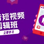 （13229期）抖音短视频剪辑班：从文案到配音：抖音文字动画短视频制作秘籍-梦帆创业网