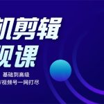 （13231期）手机剪辑变现课：小白轻松上手，基础到高级 影视号/书单号/视频号一网打尽-梦帆创业网