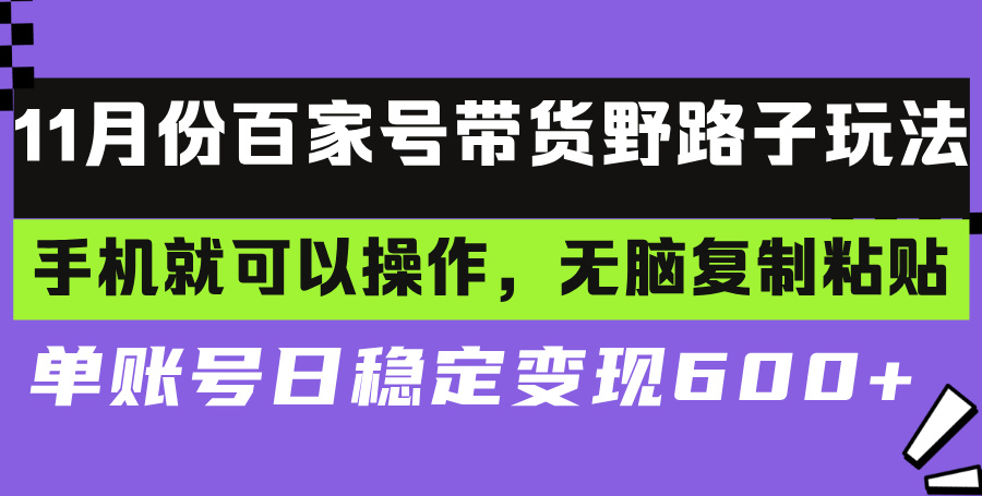 （13281期）百家号带货野路子玩法 手机就可以操作，无脑复制粘贴 单账号日稳定变现…-梦帆创业网