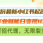 （13256期）11月份最新小红书起名项目，抄作业就能日变现1000+，可招代理，无限裂变-梦帆创业网