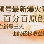 (13225期)视频号最新爆火赛道,中老年粉深信不疑,百分百原创,新号三天收益轻松...-梦帆创业网