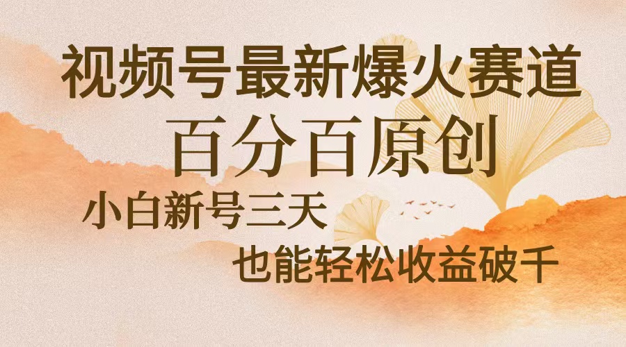 （13225期）视频号最新爆火赛道，中老年粉深信不疑，百分百原创，新号三天收益轻松…-梦帆创业网