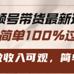 （13337期）视频号带货最新玩法，操作简单100%过原创，新手可做收入可观，简单稳定！-梦帆创业网