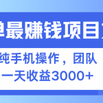 （13308期）简单有手机就能做的项目，收益可观-梦帆创业网