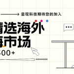 （13191期）海外全新空白市场，小白也可轻松上手，年底最后红利-梦帆创业网