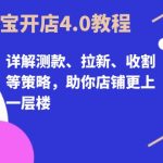 (13202期)淘宝开店4.0教程,详解测款、拉新、收割等策略,助你店铺更上一层楼-梦帆创业网