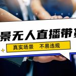 日入500+的实景无人直播带货最新玩法-梦帆创业网