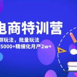 美团电商特训营:美团·店群玩法,无脑铺货月产出6000-15000+精细化月产2w+-梦帆创业网