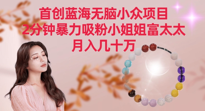 首创蓝海无脑小众项目，2分钟暴力吸粉小姐姐富太太，月入几十万-梦帆创业网