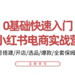 0基础快速入门小红书电商实战营：账号搭建/开店/选品/爆款/全套保姆教程-梦帆创业网